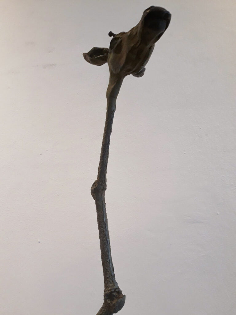Grachtengalerie
