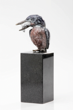 IJsvogel