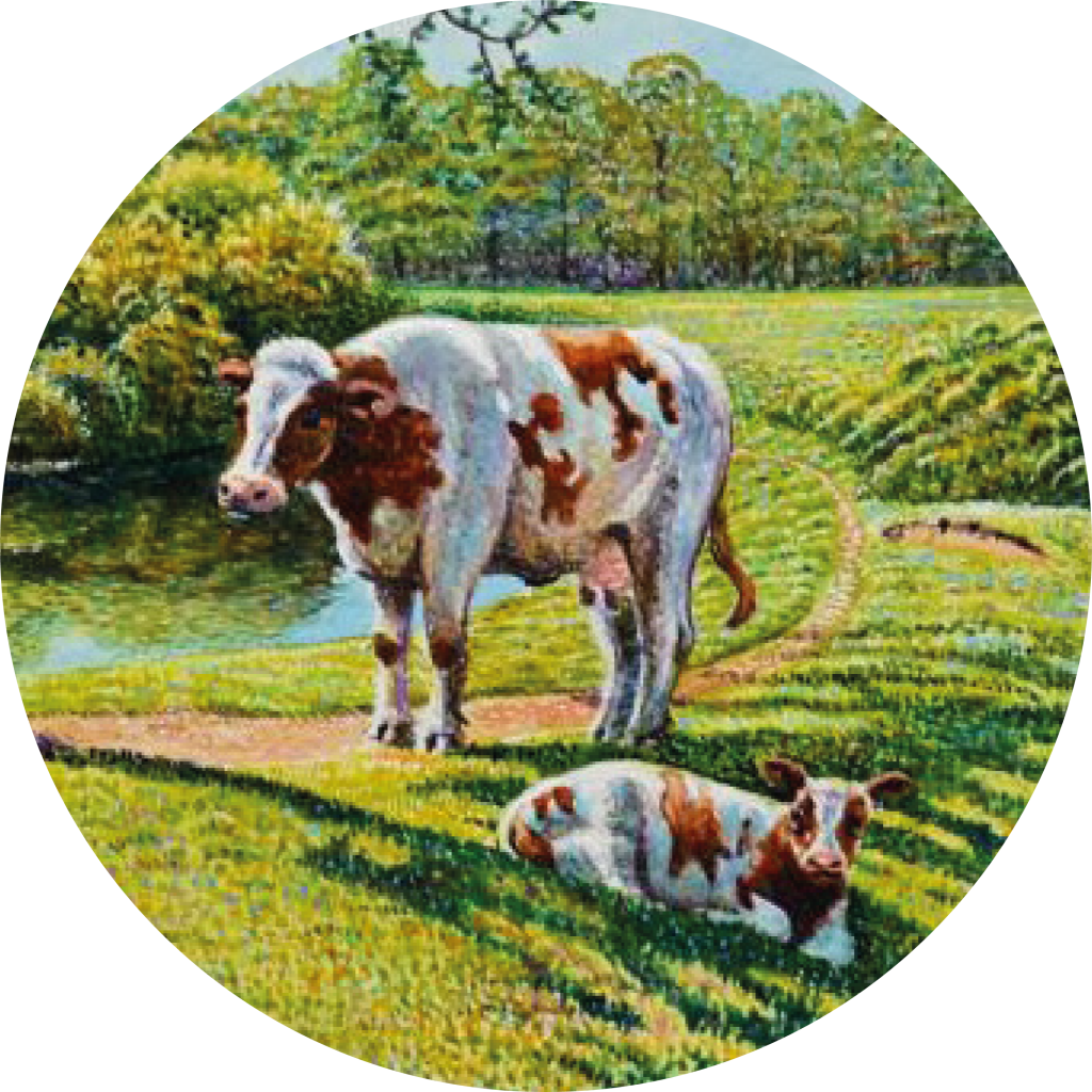 Grachtengalerie