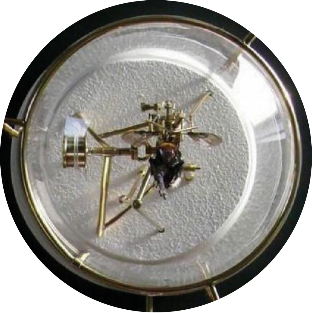 Grachtengalerie
