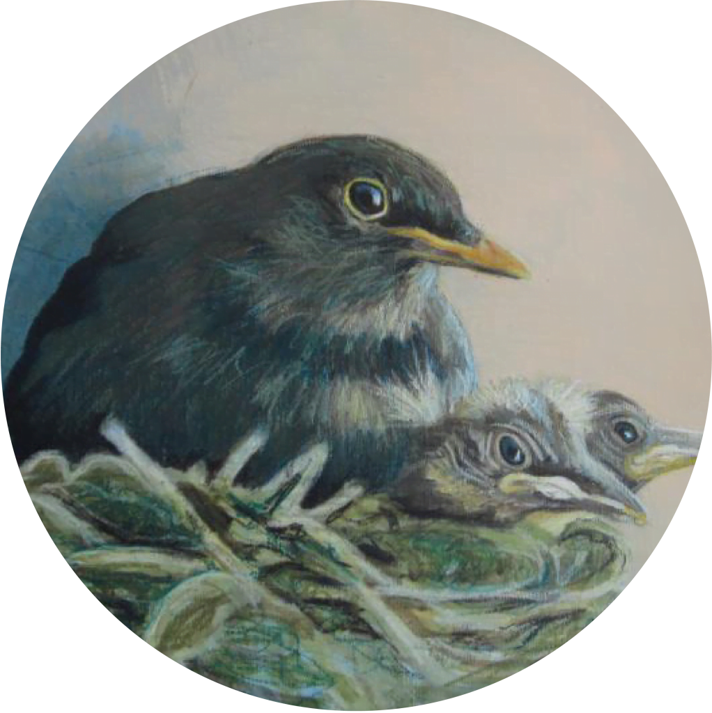 Grachtengalerie