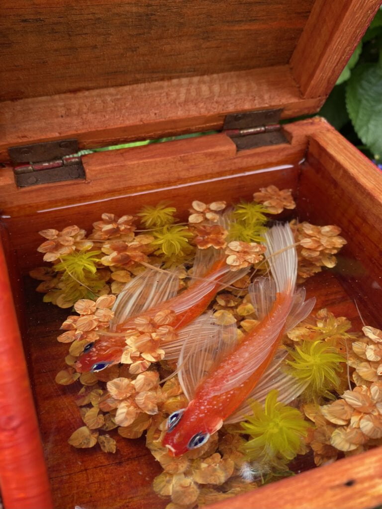Grachtengalerie
