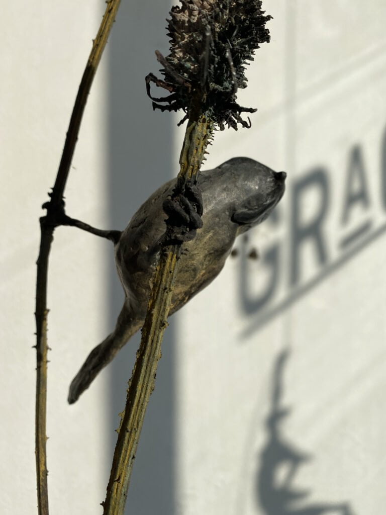 Grachtengalerie