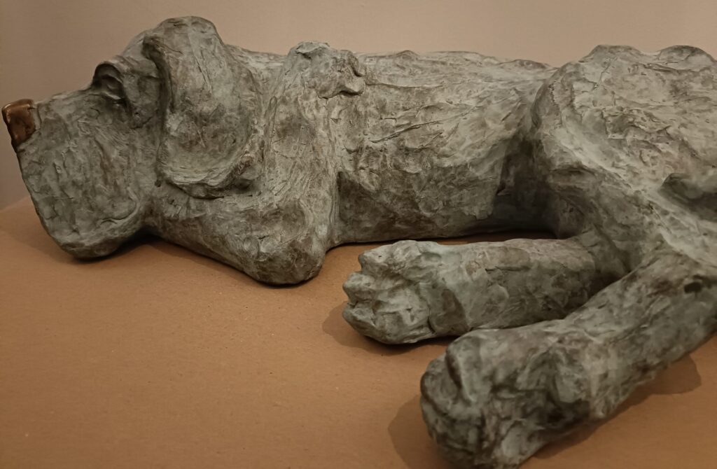 Grachtengalerie