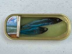 Twee blauwe vissen in langwerpig blik