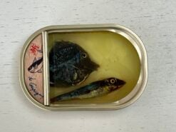 Grote blauwe vis in blik