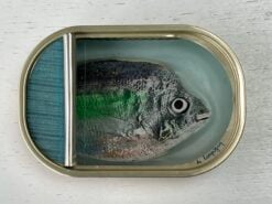 Vis blauw groen in blik