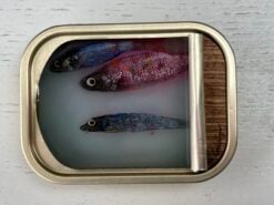 3 smalle visjes in klein blikje