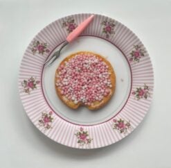 Beschuit op bord nr. 154