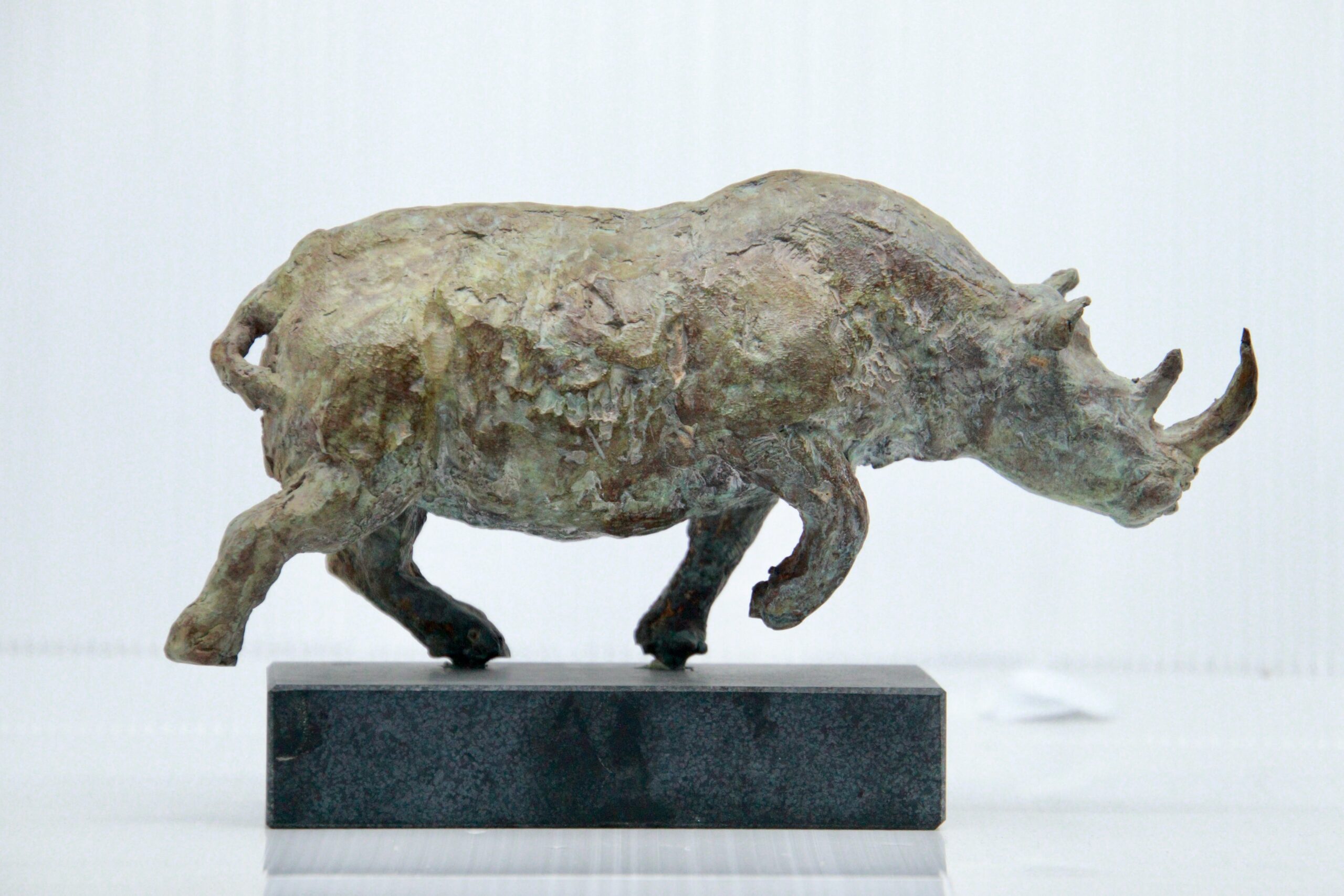 Neushoorn