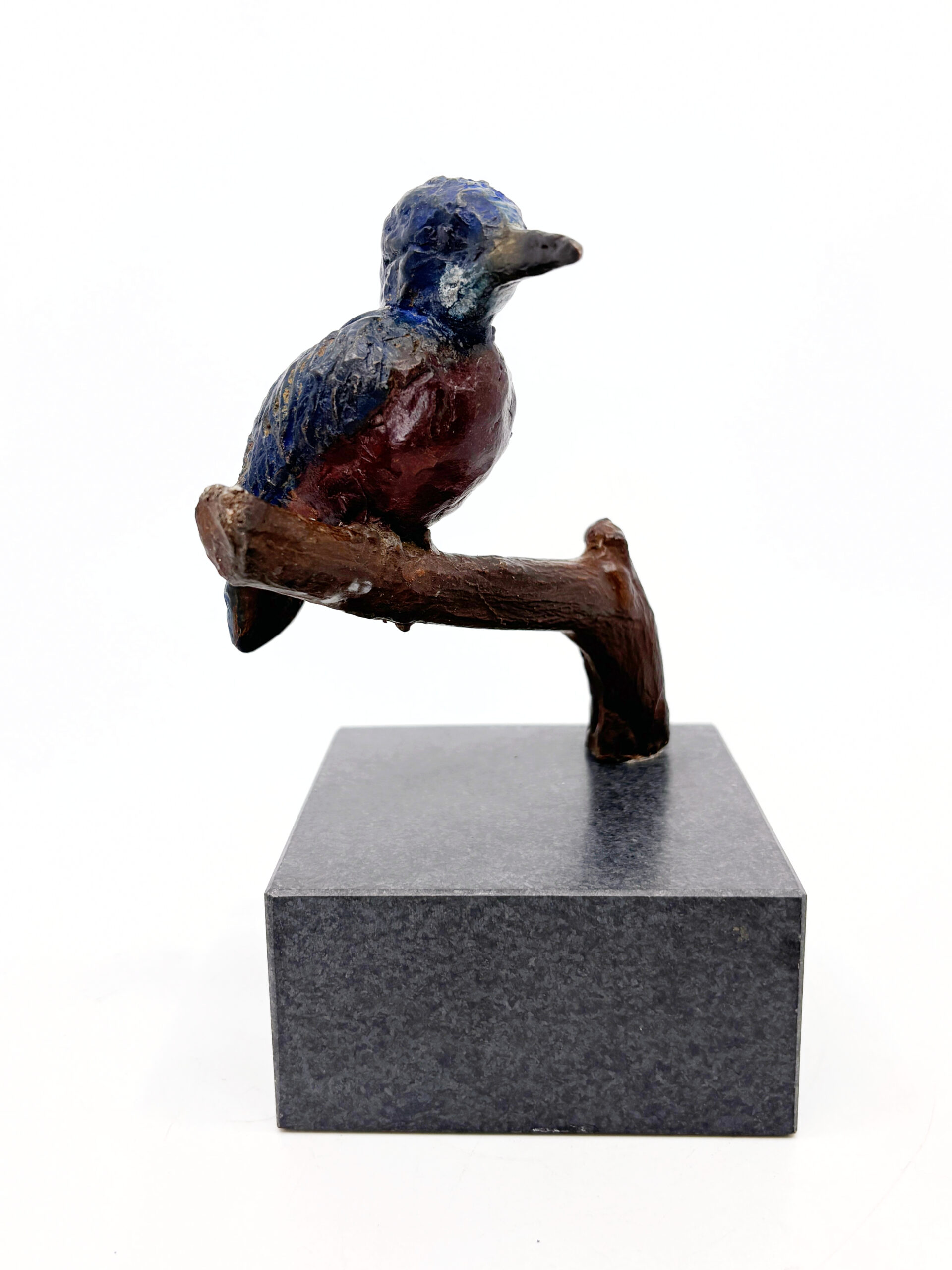 Ijsvogel op tak