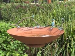 Waterschaal met ijsvogel