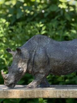 Neushoorn